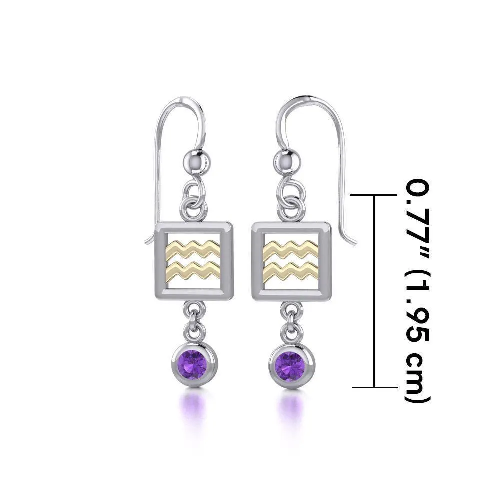 Aquarius Zodiac Sign Silver and Gold Earrings Jewelry with Amethyst MER1767