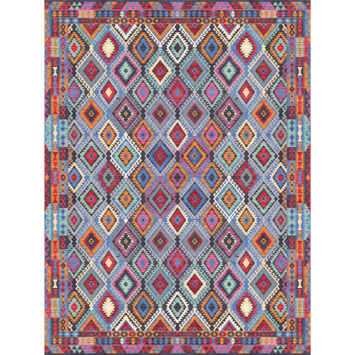 Assania Multi Color Rug