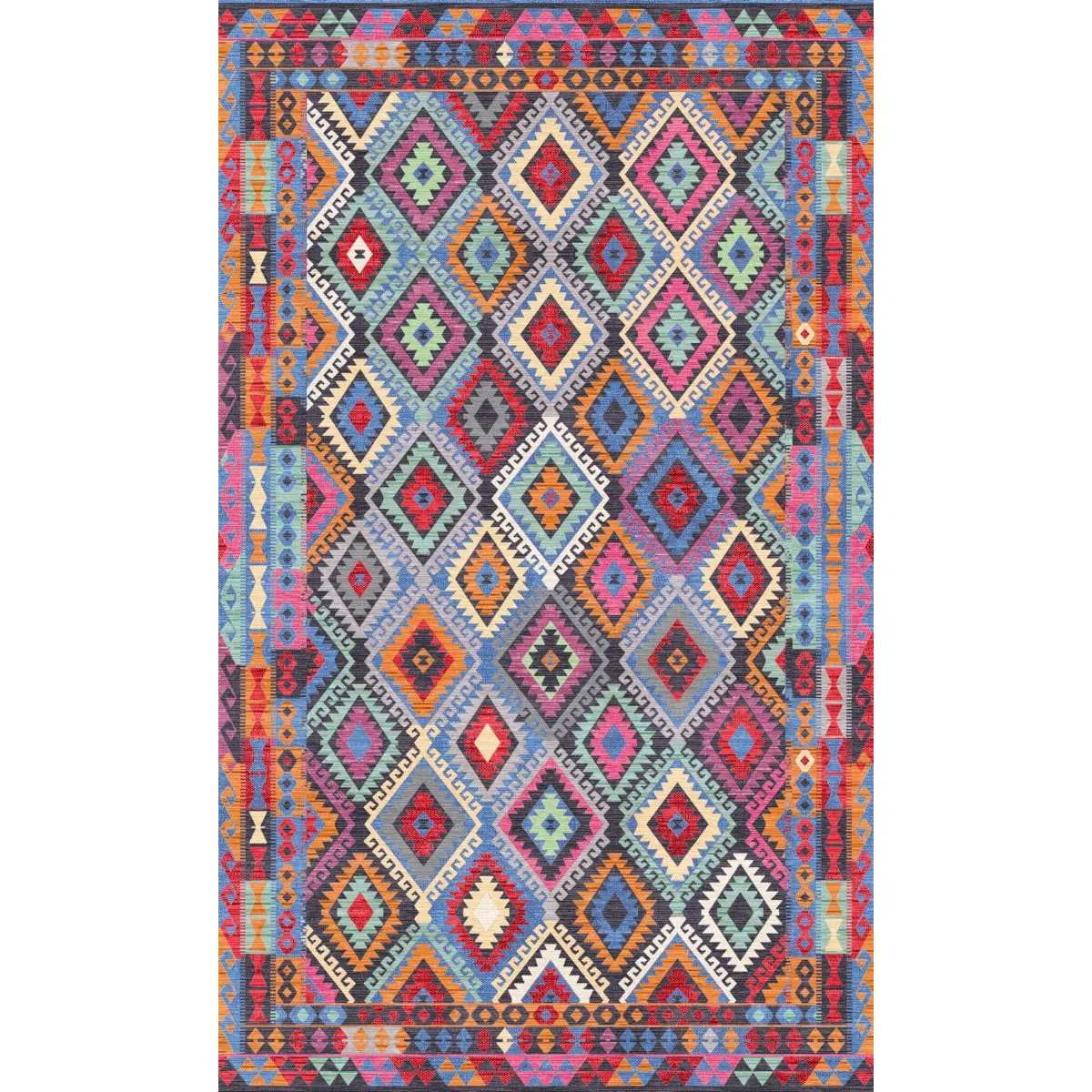 Assania Multi Color Rug