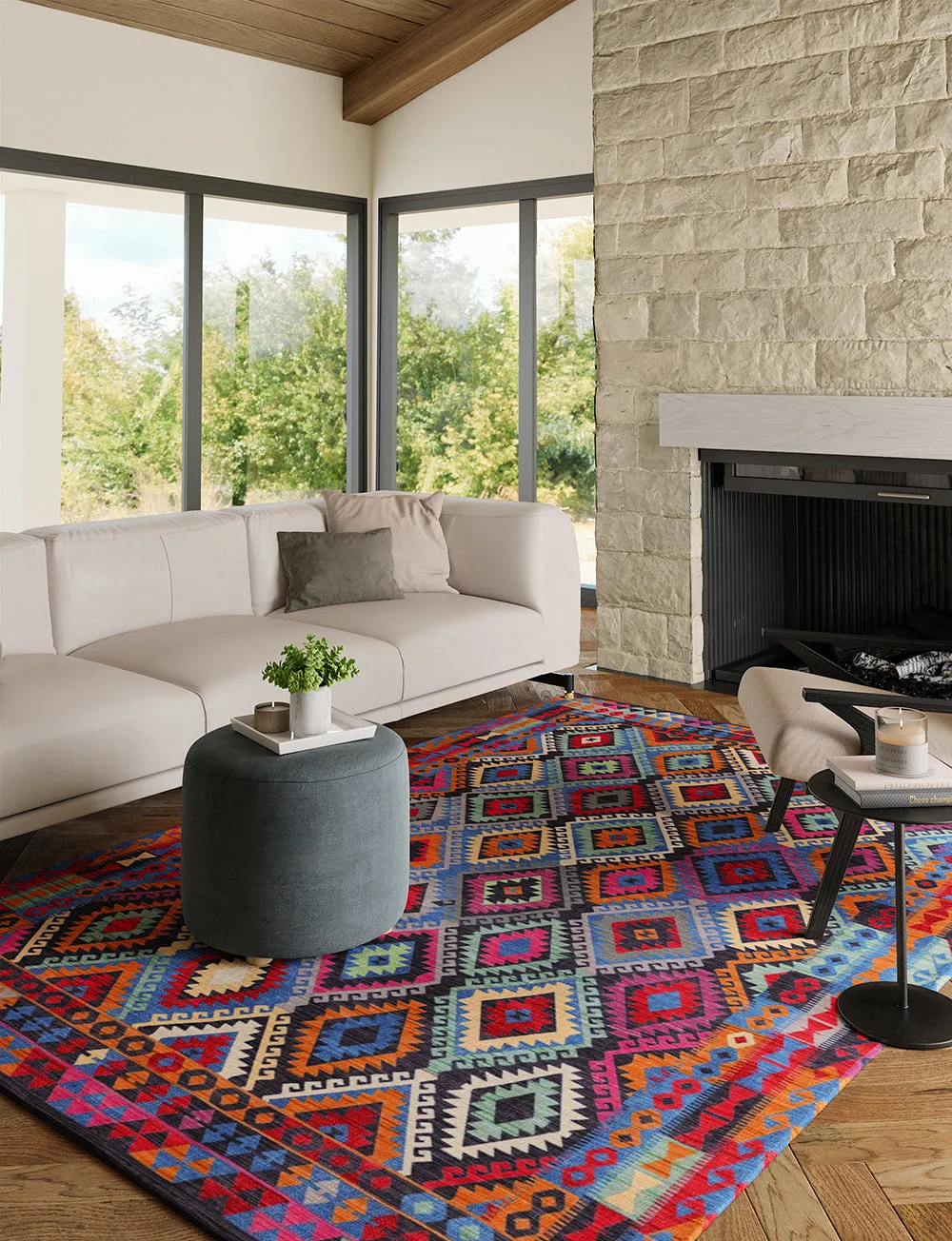 Assania Multi Color Rug