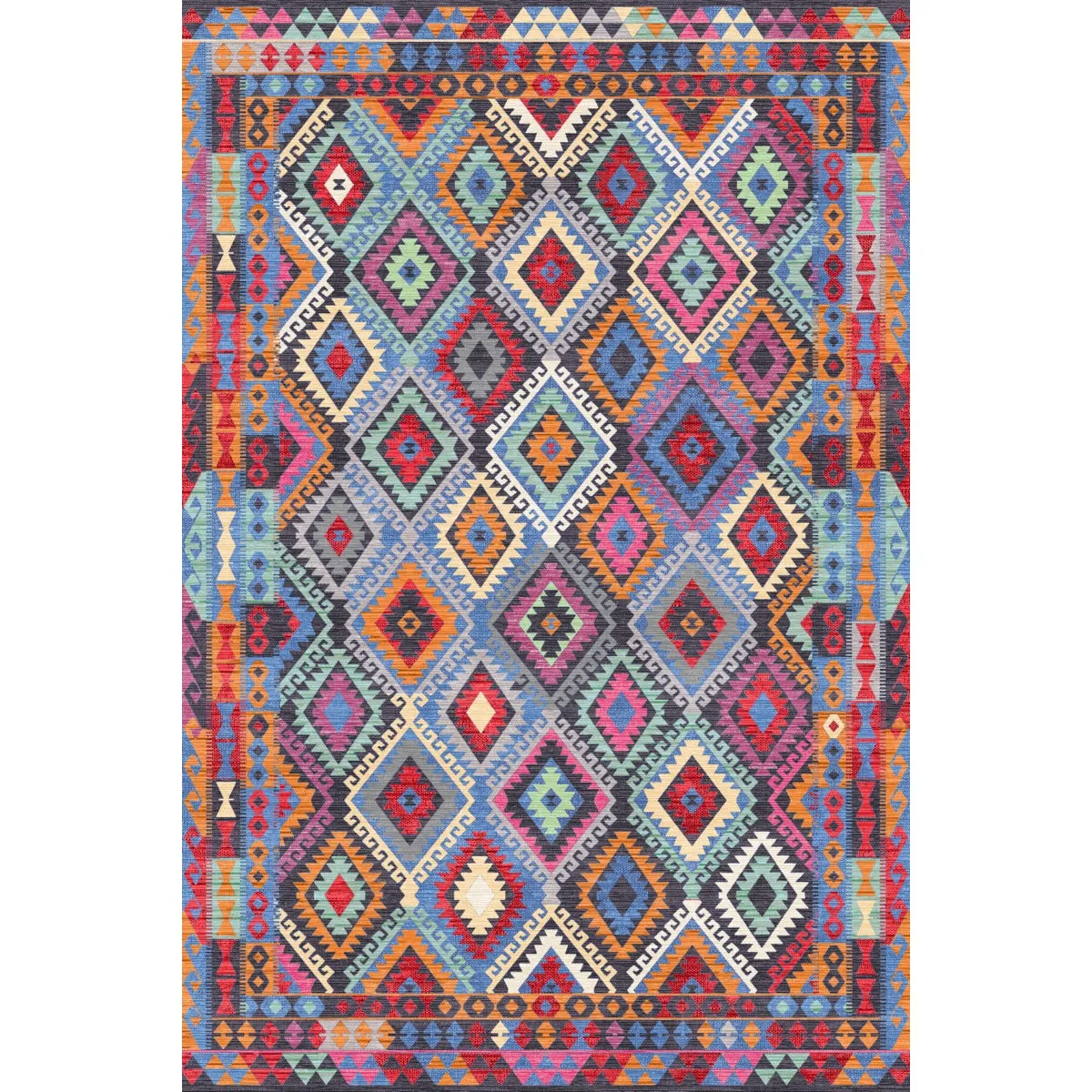 Assania Multi Color Rug