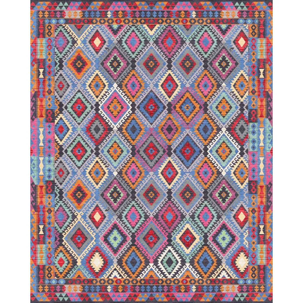 Assania Multi Color Rug