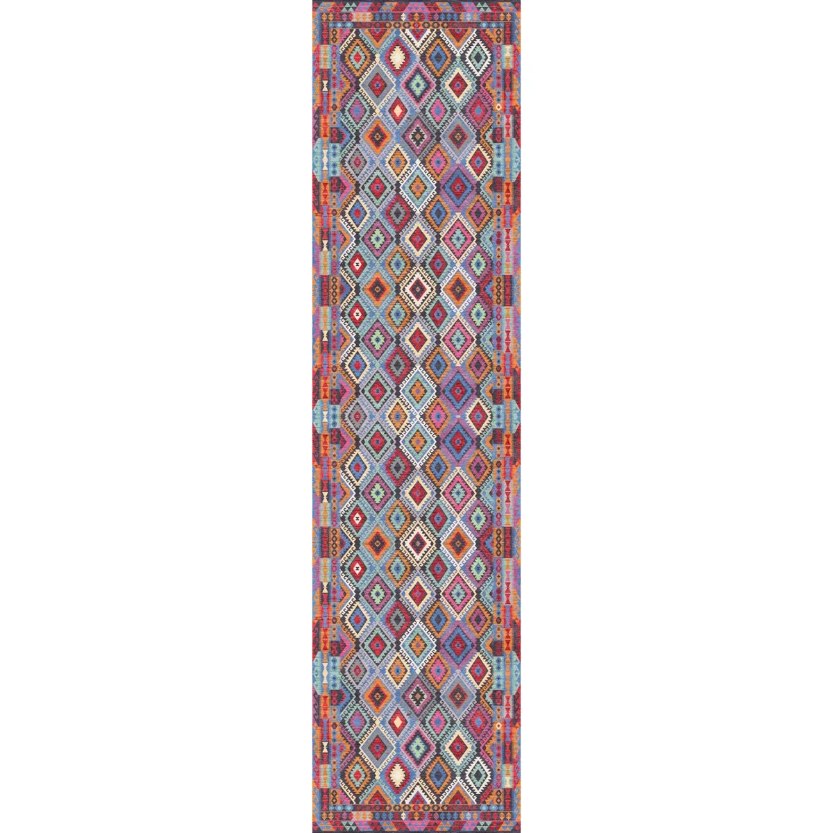 Assania Multi Color Rug