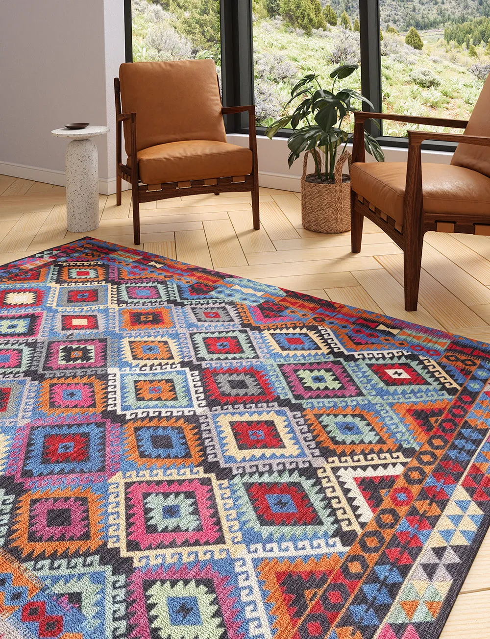 Assania Multi Color Rug