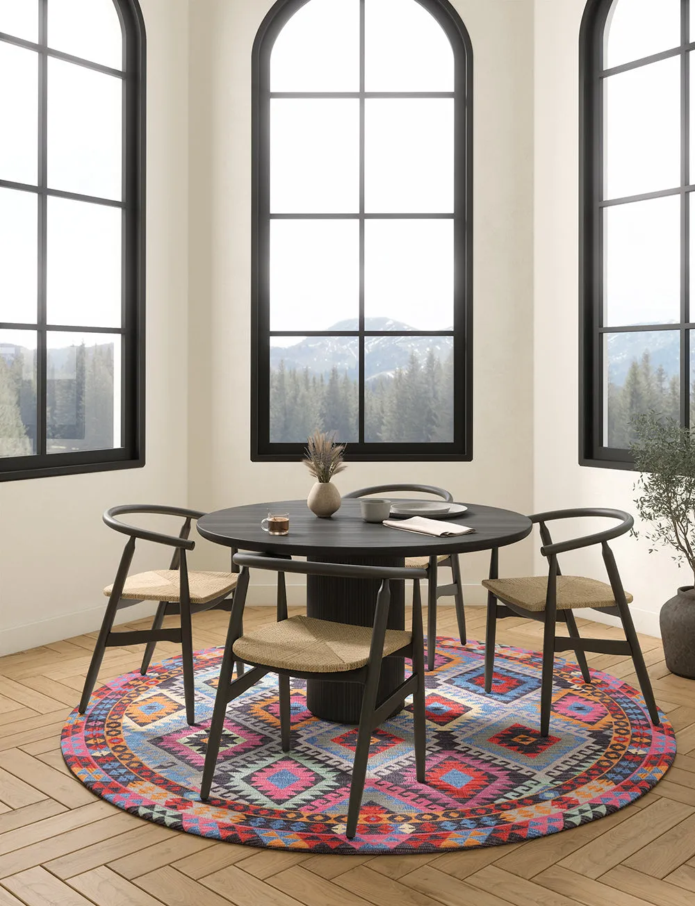 Assania Multi Color Rug