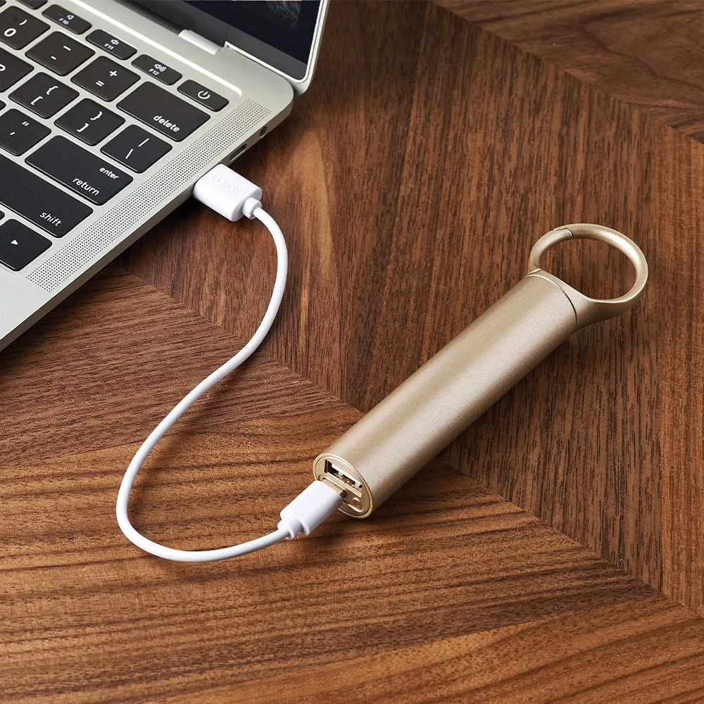 Lexon Nomaday 3000 Mah Power Bank With Clip - Gold