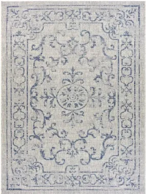 Sun shower 81249NVG Navy/Grey Rug