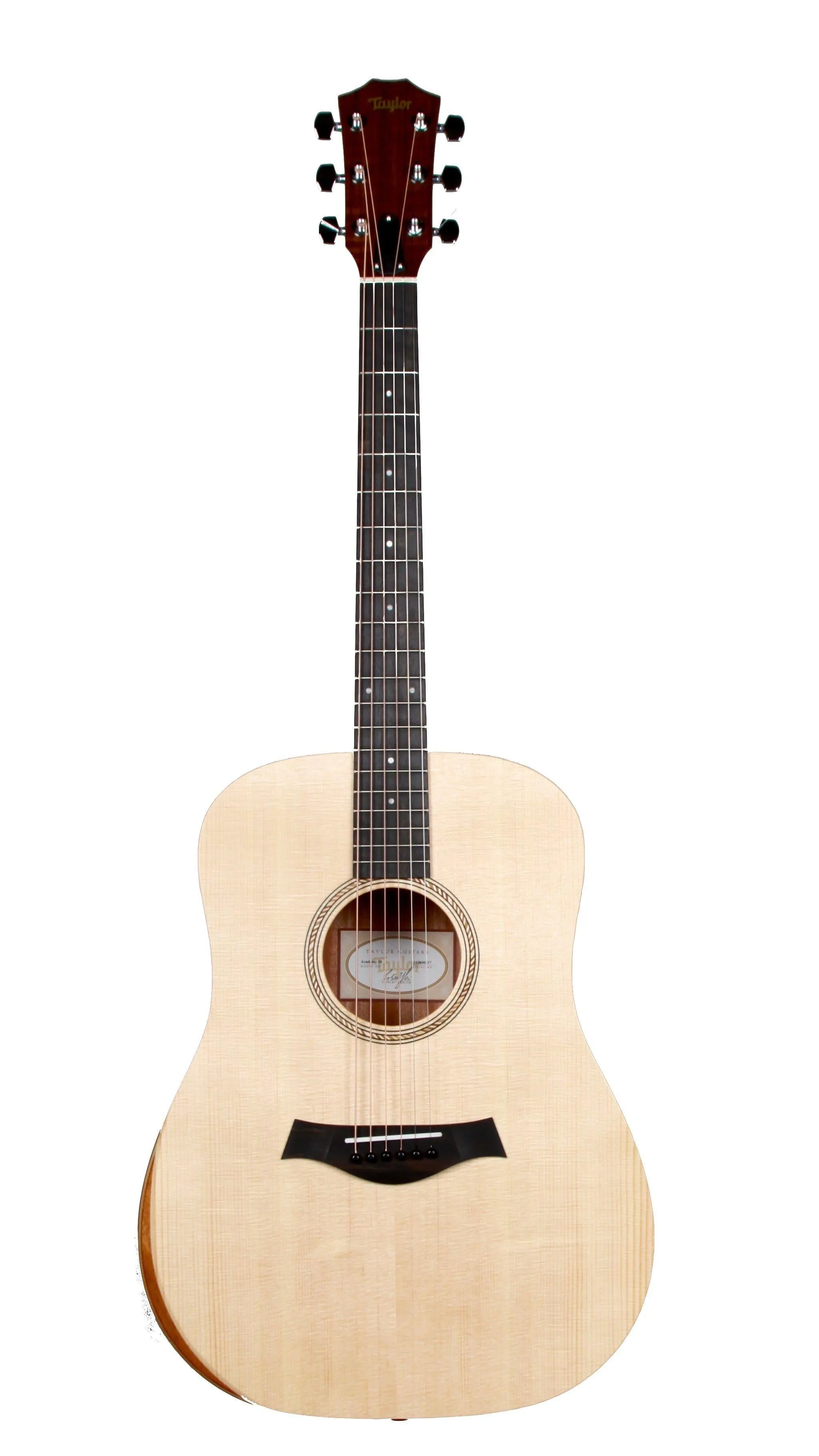 Taylor Academy 10 Dreadnought with Bevel and Gig Bag